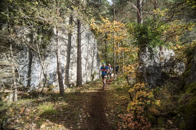Festival des Templiers 2017