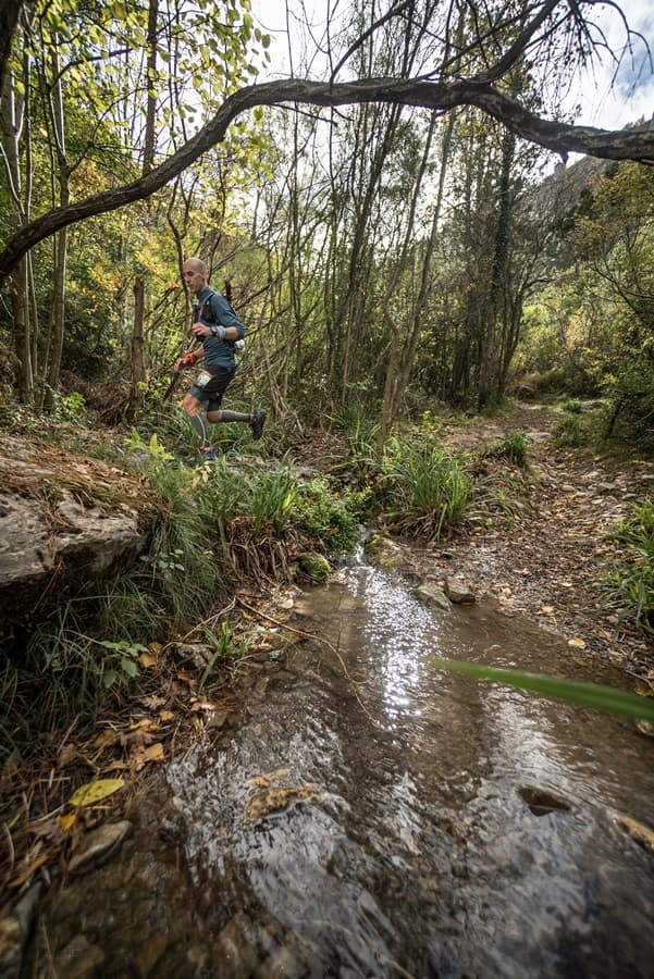 Festival des Templiers 2017