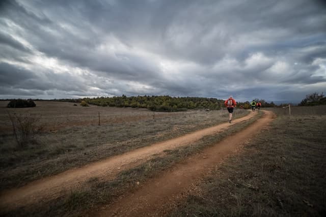 Festival des Templiers 2017