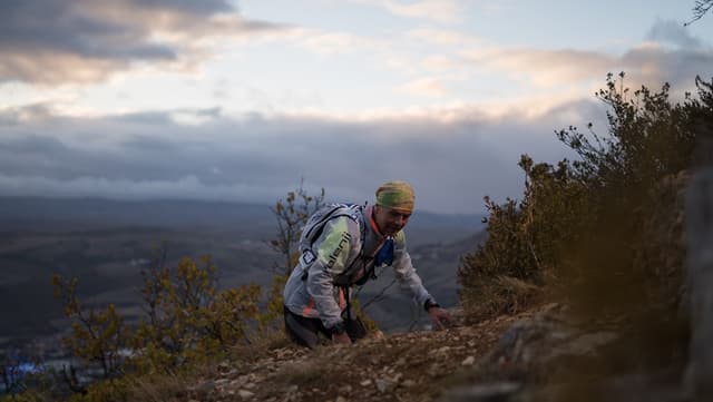 Festival des Templiers 2017