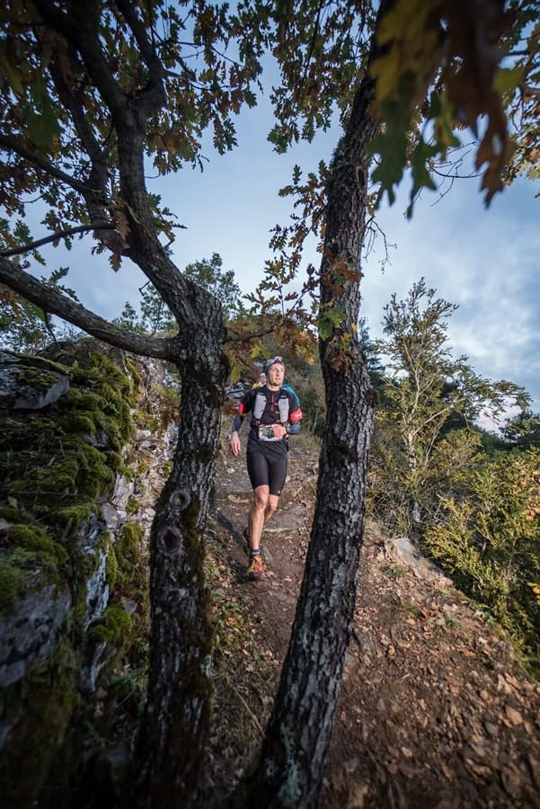 Festival des Templiers 2017