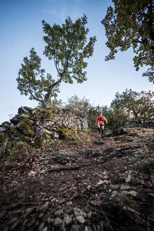 Festival des Templiers 2017