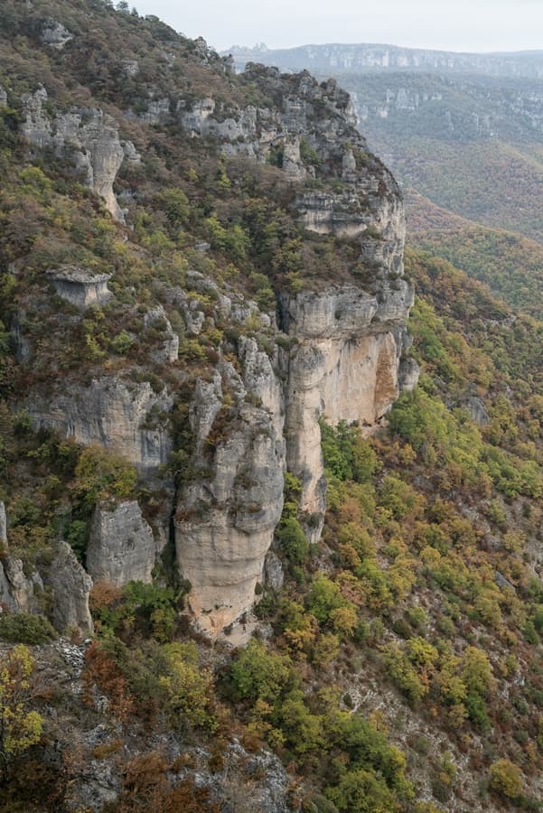 Festival des Templiers 2017