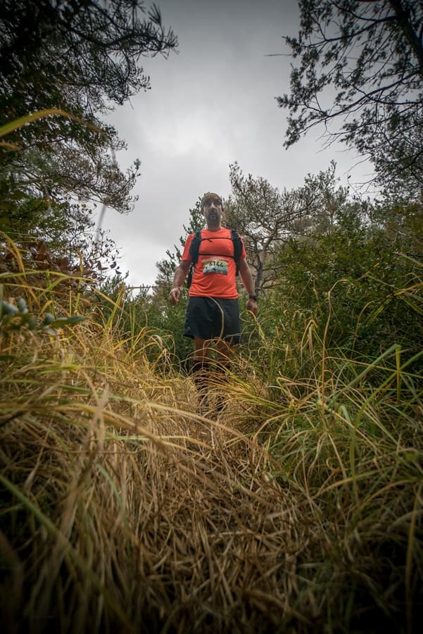 Festival des Templiers 2017