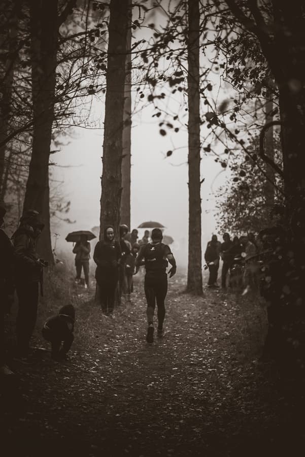 Festival des Templiers 2017