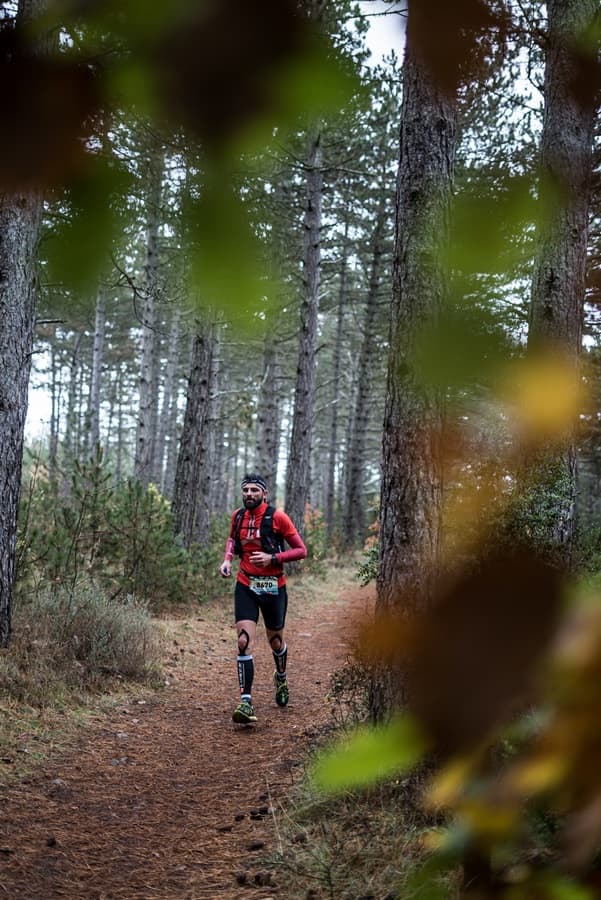 Festival des Templiers 2017