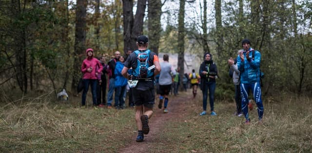 Festival des Templiers 2017