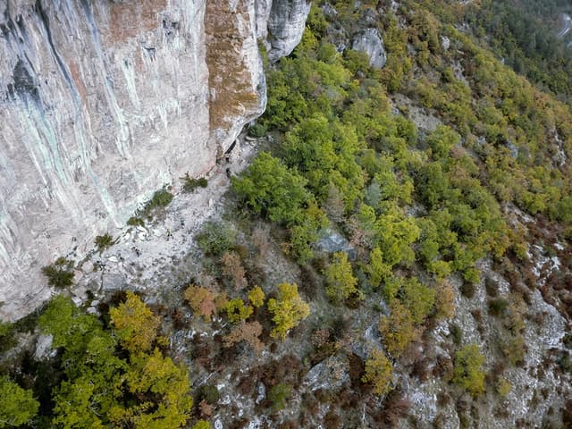 Festival des Templiers 2017
