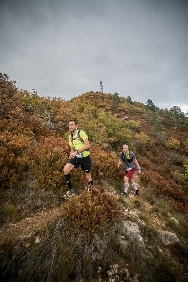 Festival des Templiers 2017