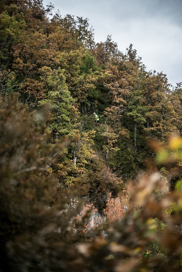 Festival des Templiers 2017