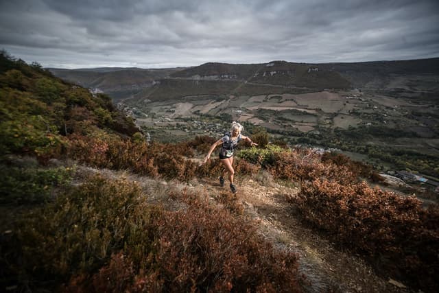 Festival des Templiers 2017