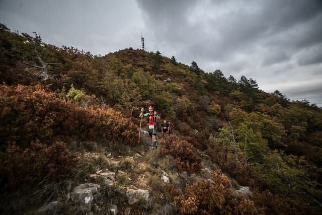 Festival des Templiers 2017