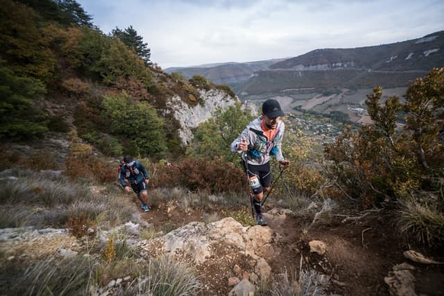 Festival des Templiers 2017