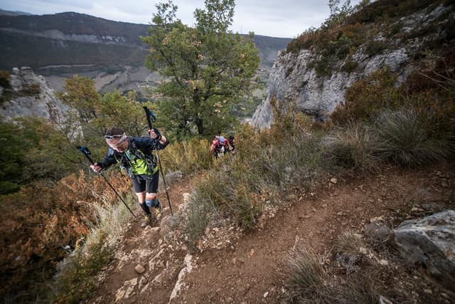 Festival des Templiers 2017