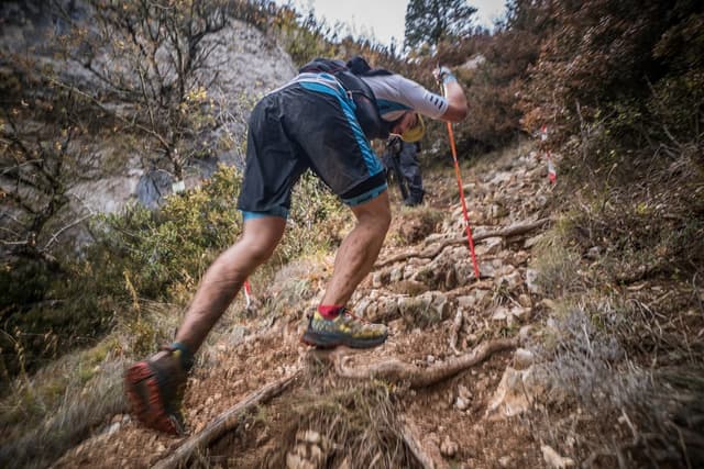 Festival des Templiers 2017