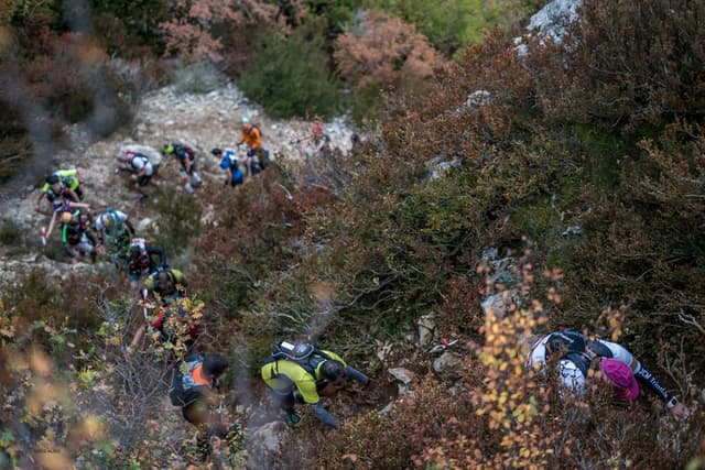 Festival des Templiers 2017