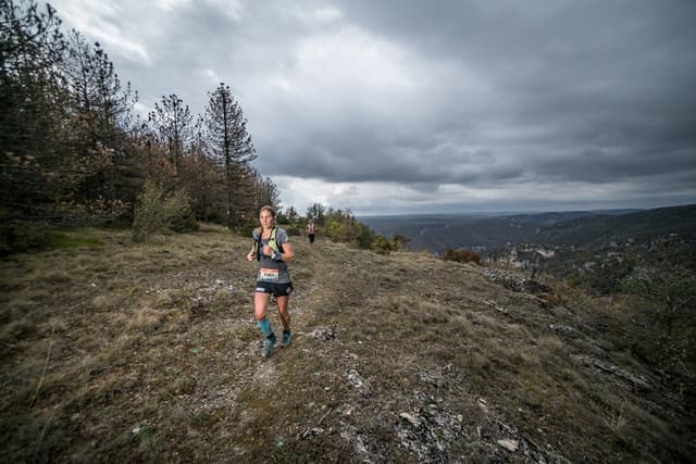 Festival des Templiers 2017