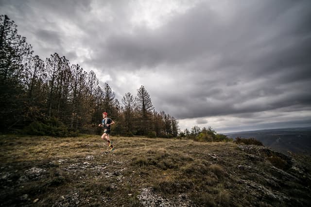 Festival des Templiers 2017
