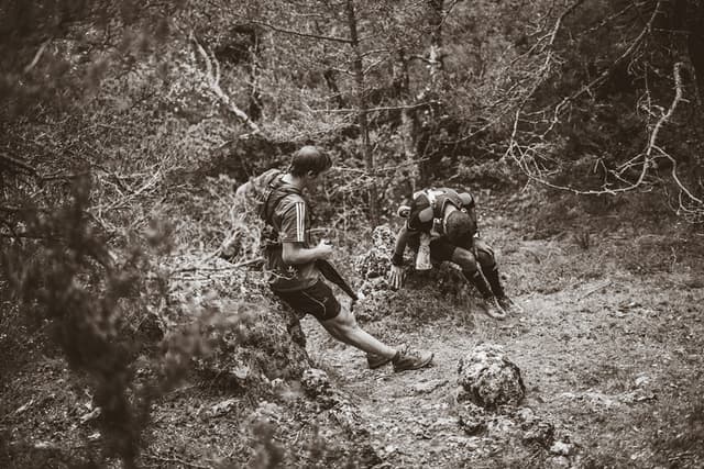 Festival des Templiers 2017