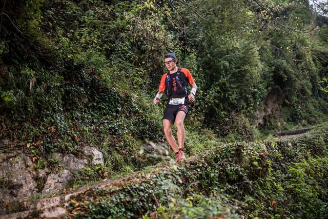 Festival des Templiers 2017