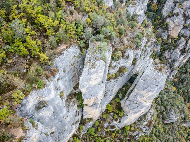 Festival des Templiers 2017