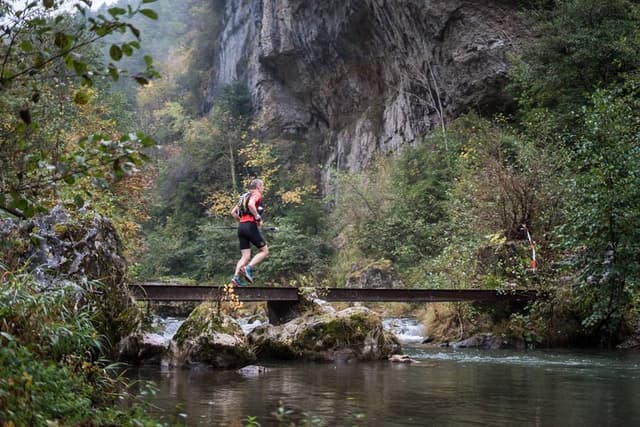 Festival des Templiers 2017