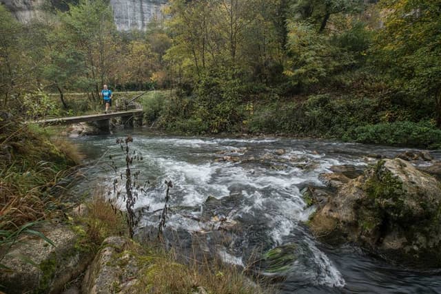 Festival des Templiers 2017