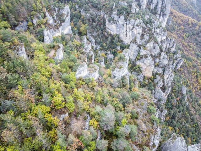 Festival des Templiers 2017