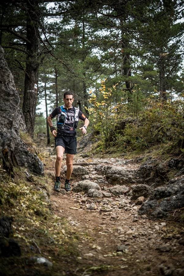 Festival des Templiers 2017