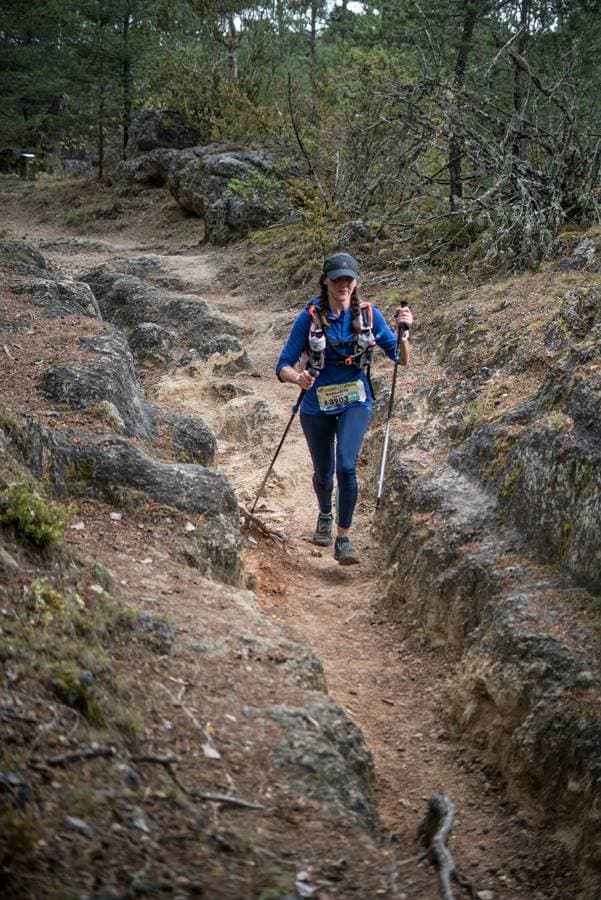 Festival des Templiers 2017