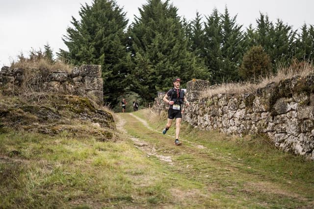 Festival des Templiers 2017