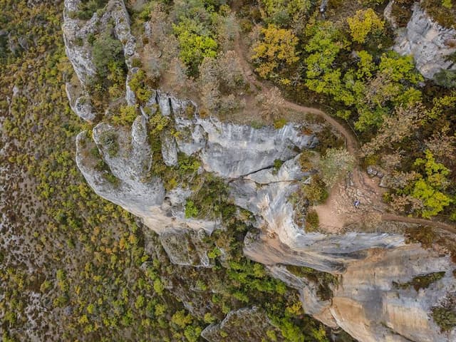 Festival des Templiers 2017