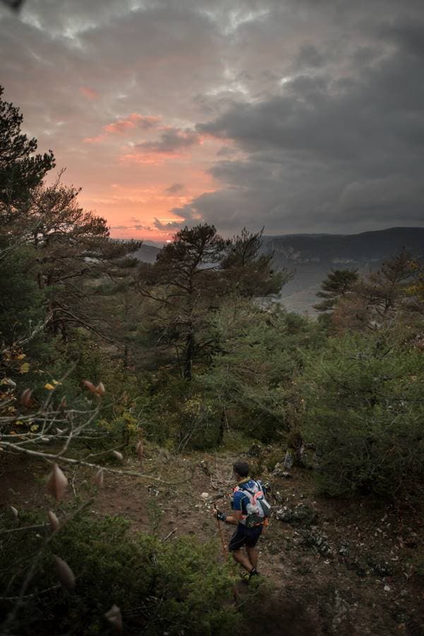 Festival des Templiers 2017