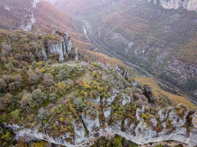 Festival des Templiers 2017