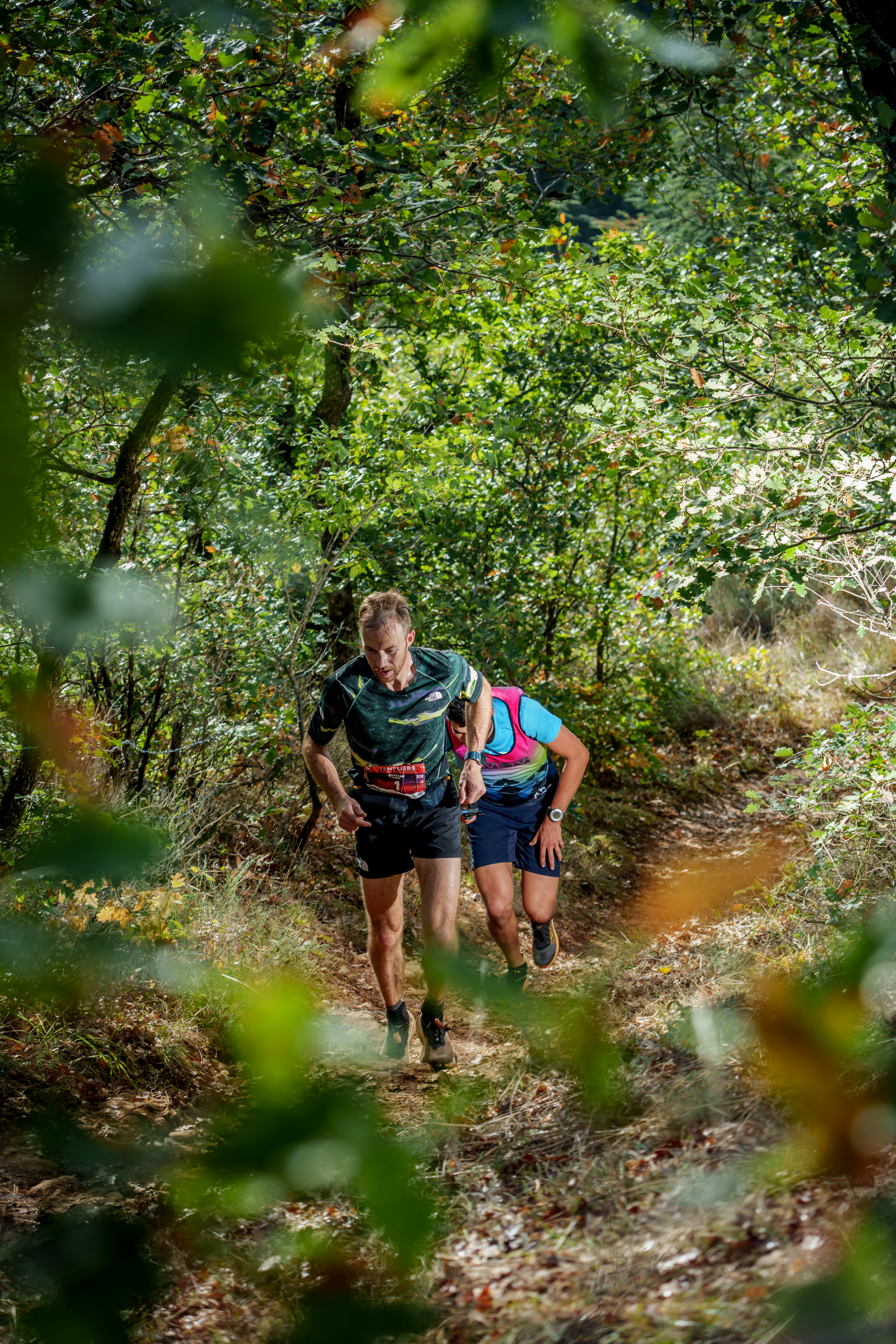 Festival des Templiers 2023