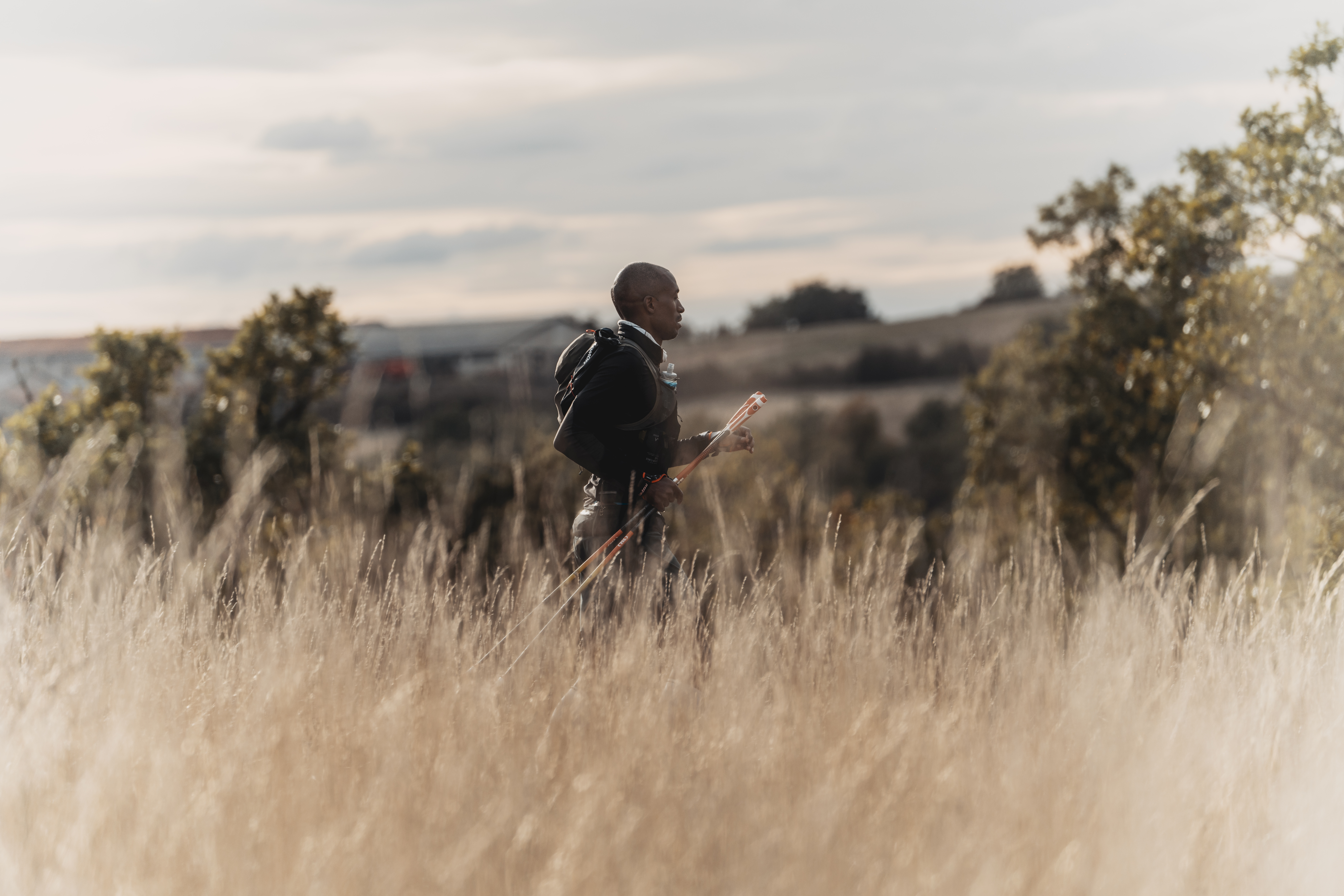 Festival des Templiers 2023