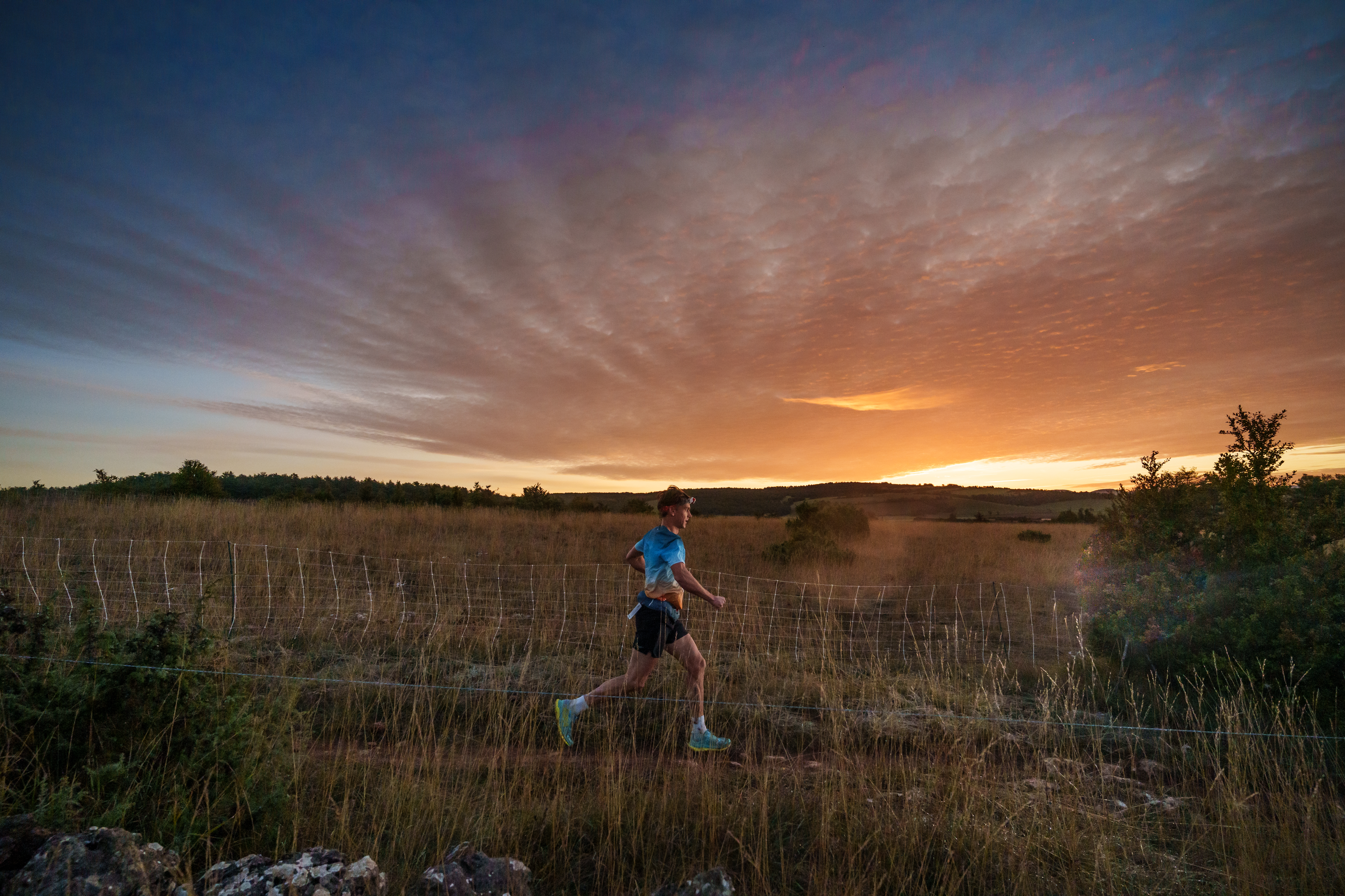 Festival des Templiers 2023