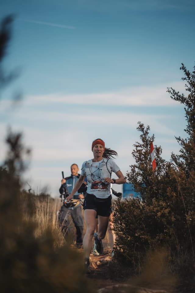 Festival des Templiers 2023