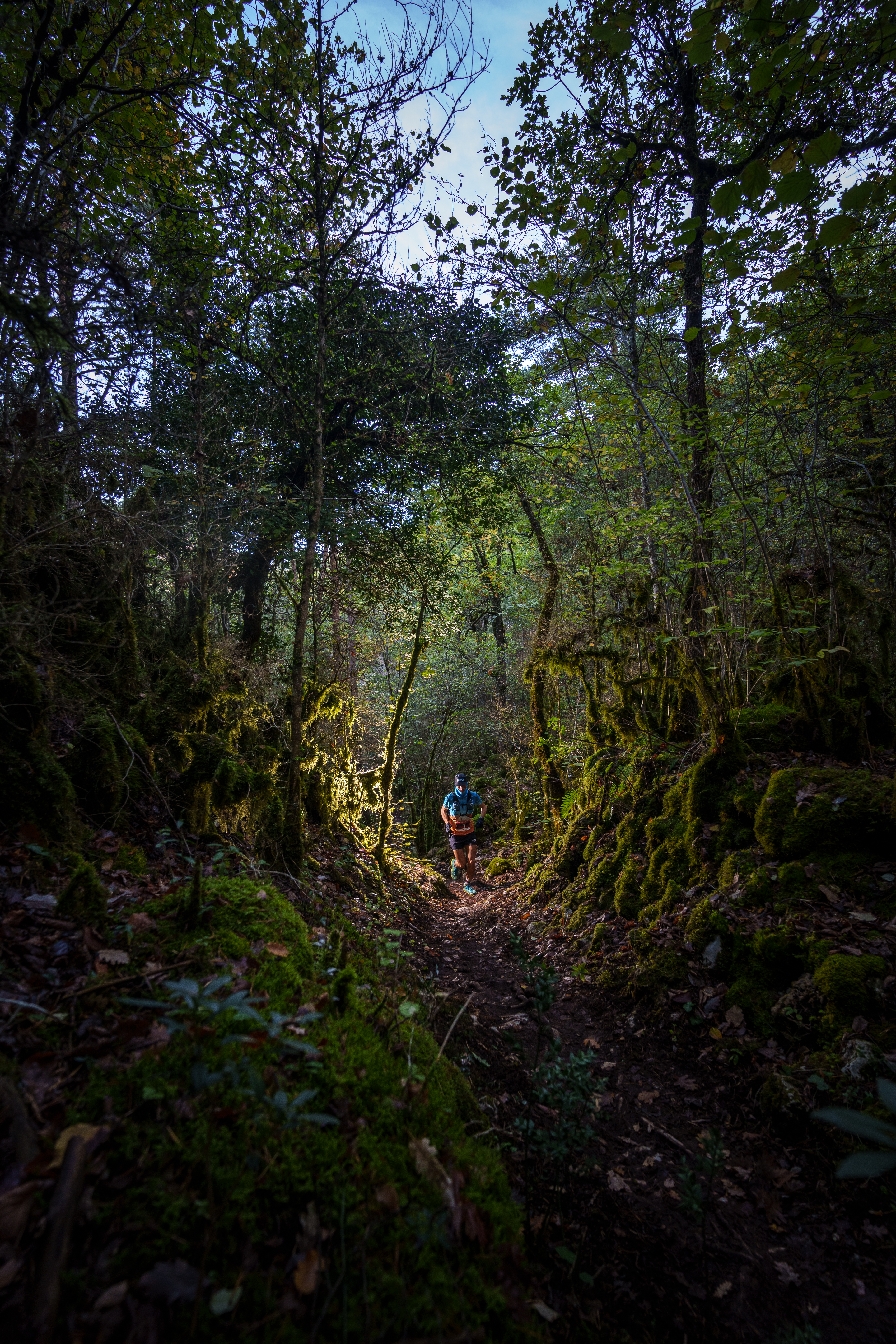 Festival des Templiers 2023