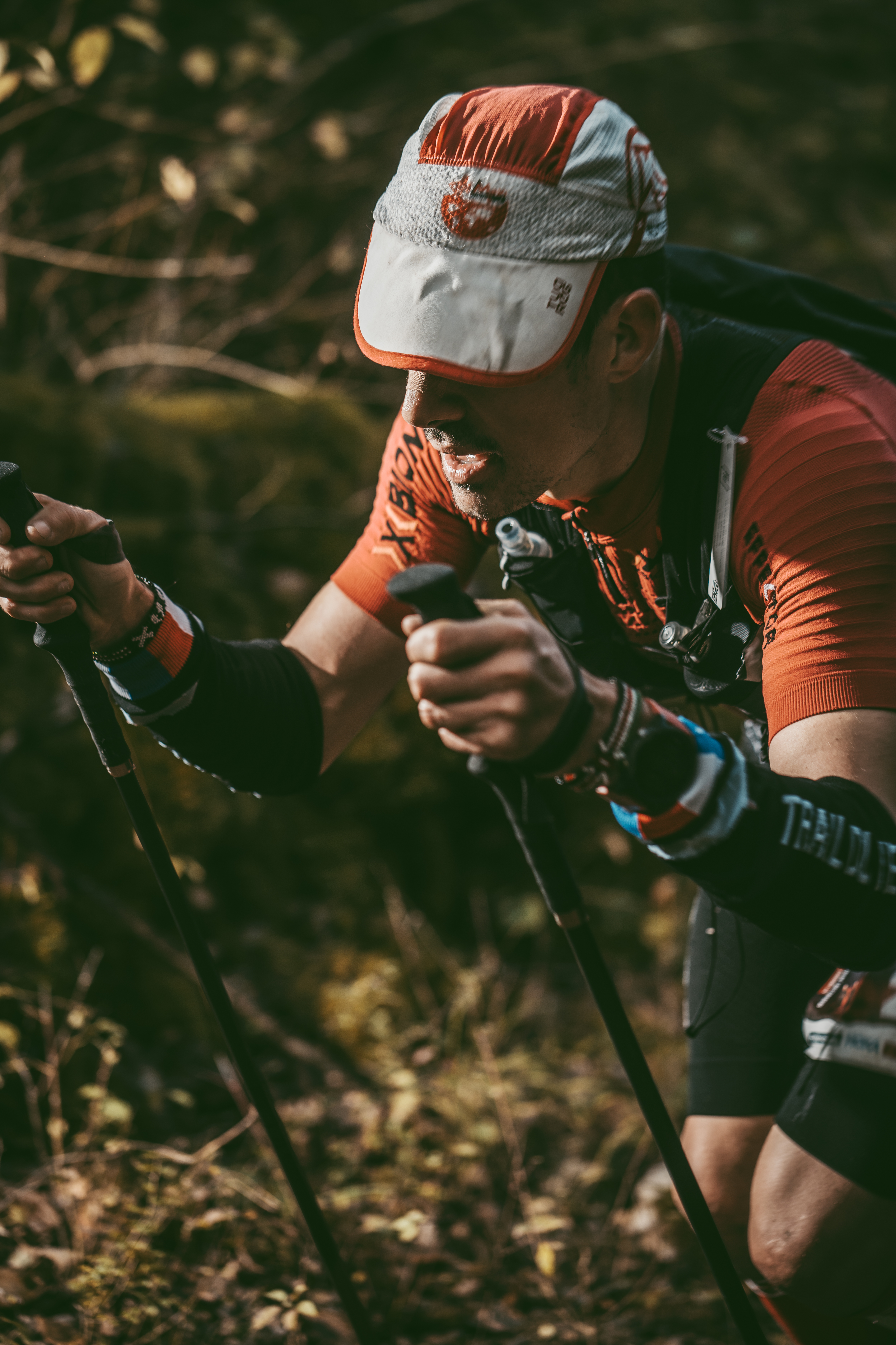 Festival des Templiers 2023
