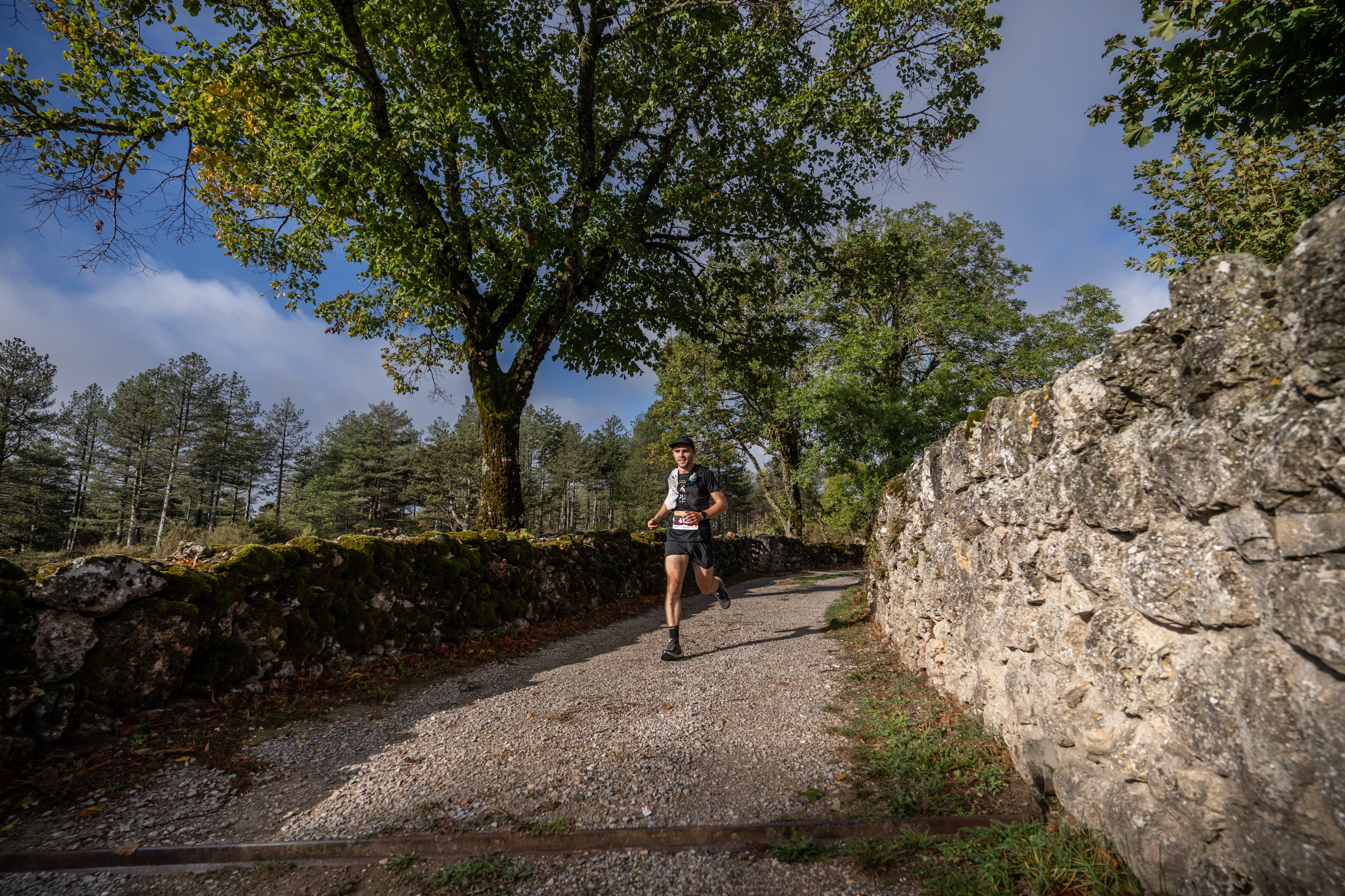 Festival des Templiers 2023
