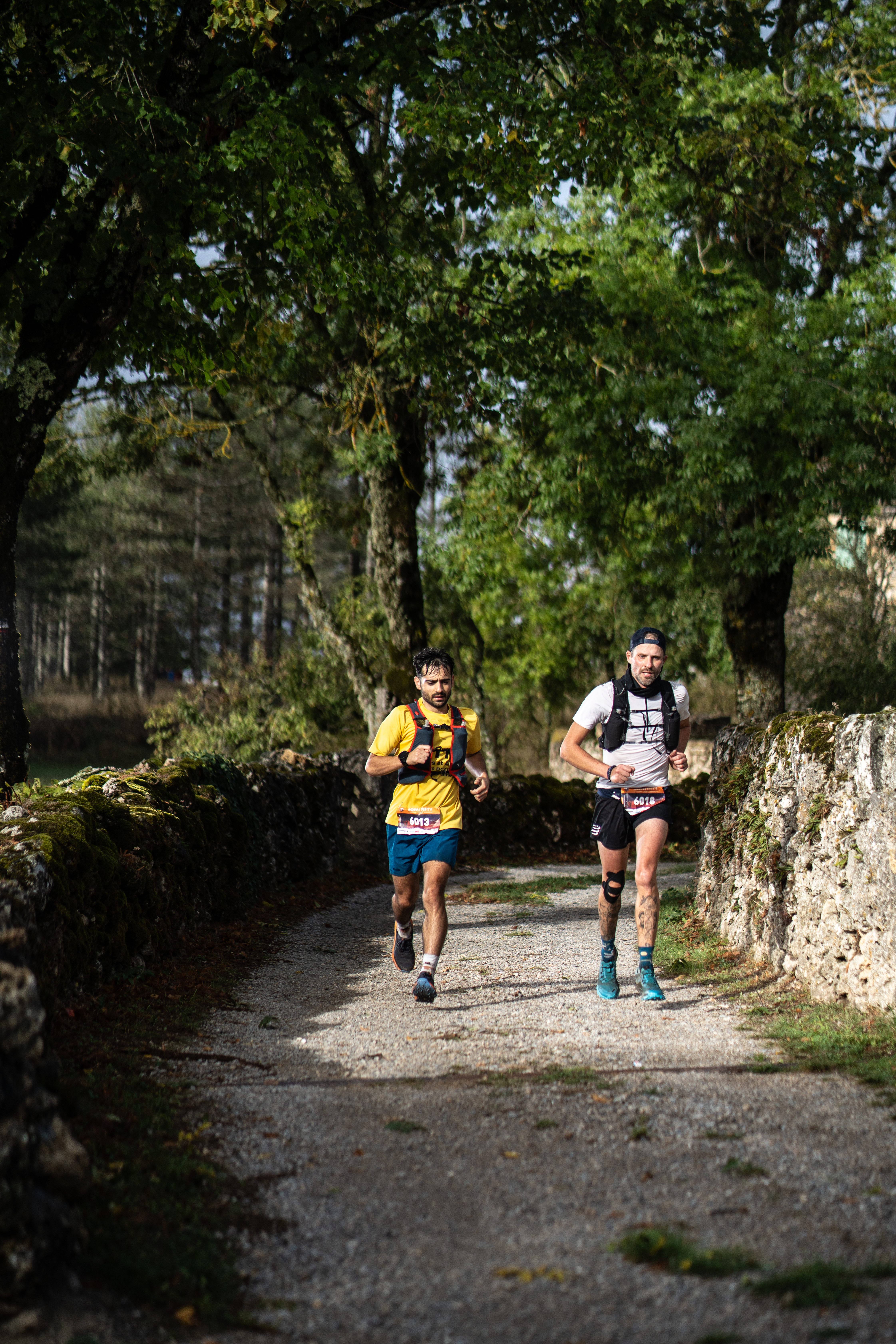 Festival des Templiers 2023