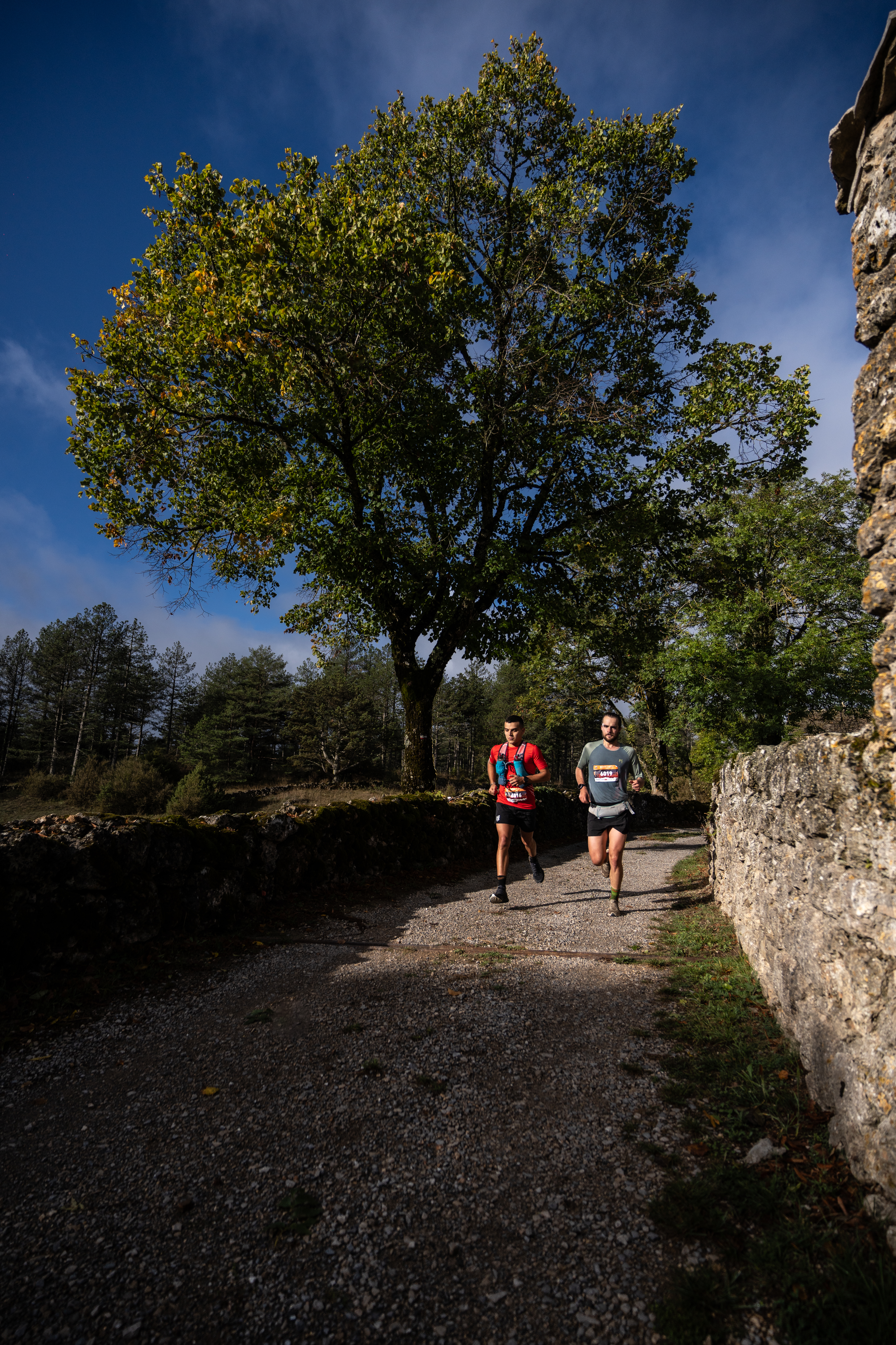 Festival des Templiers 2023