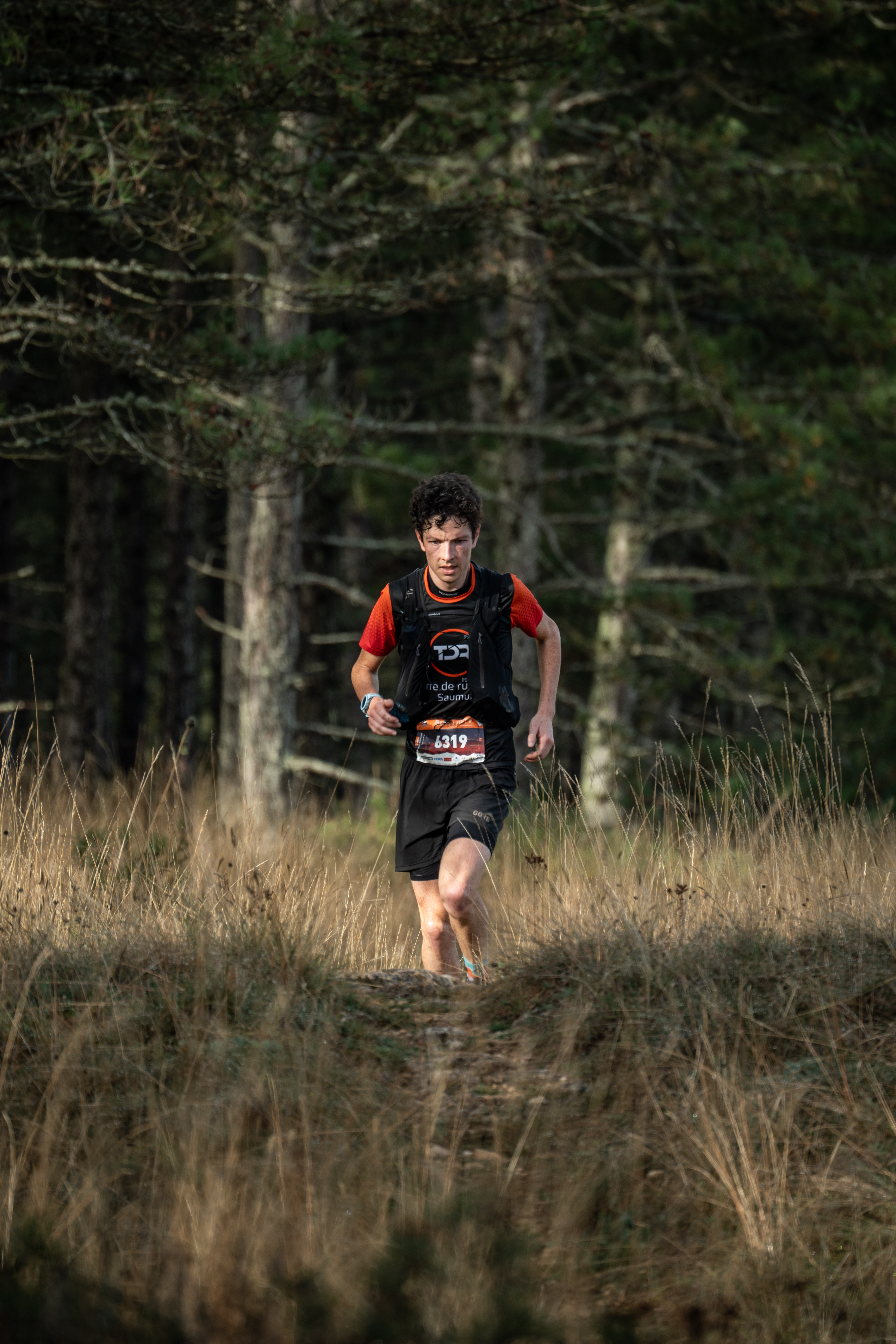 Festival des Templiers 2023