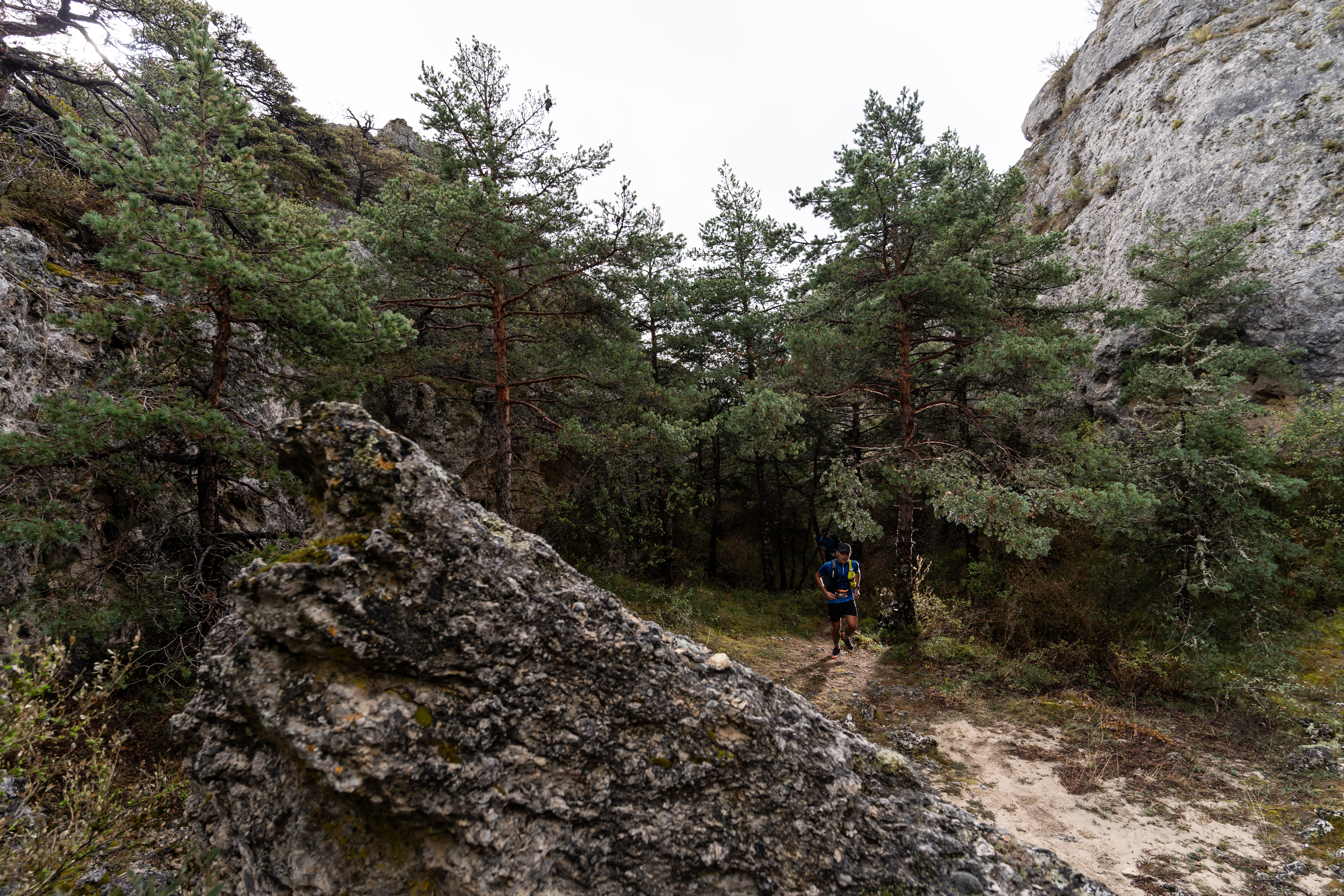 Festival des Templiers 2023