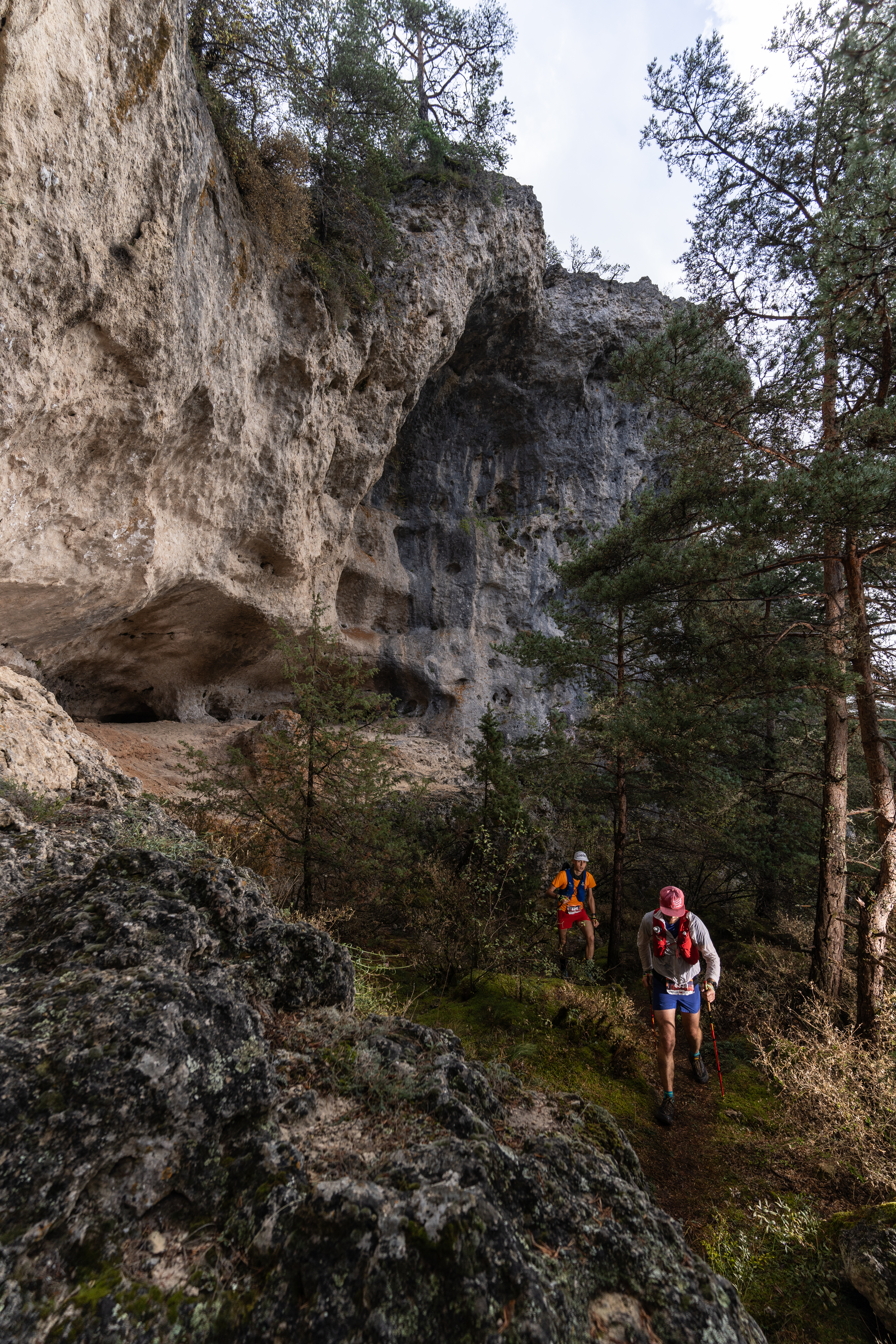 Festival des Templiers 2023