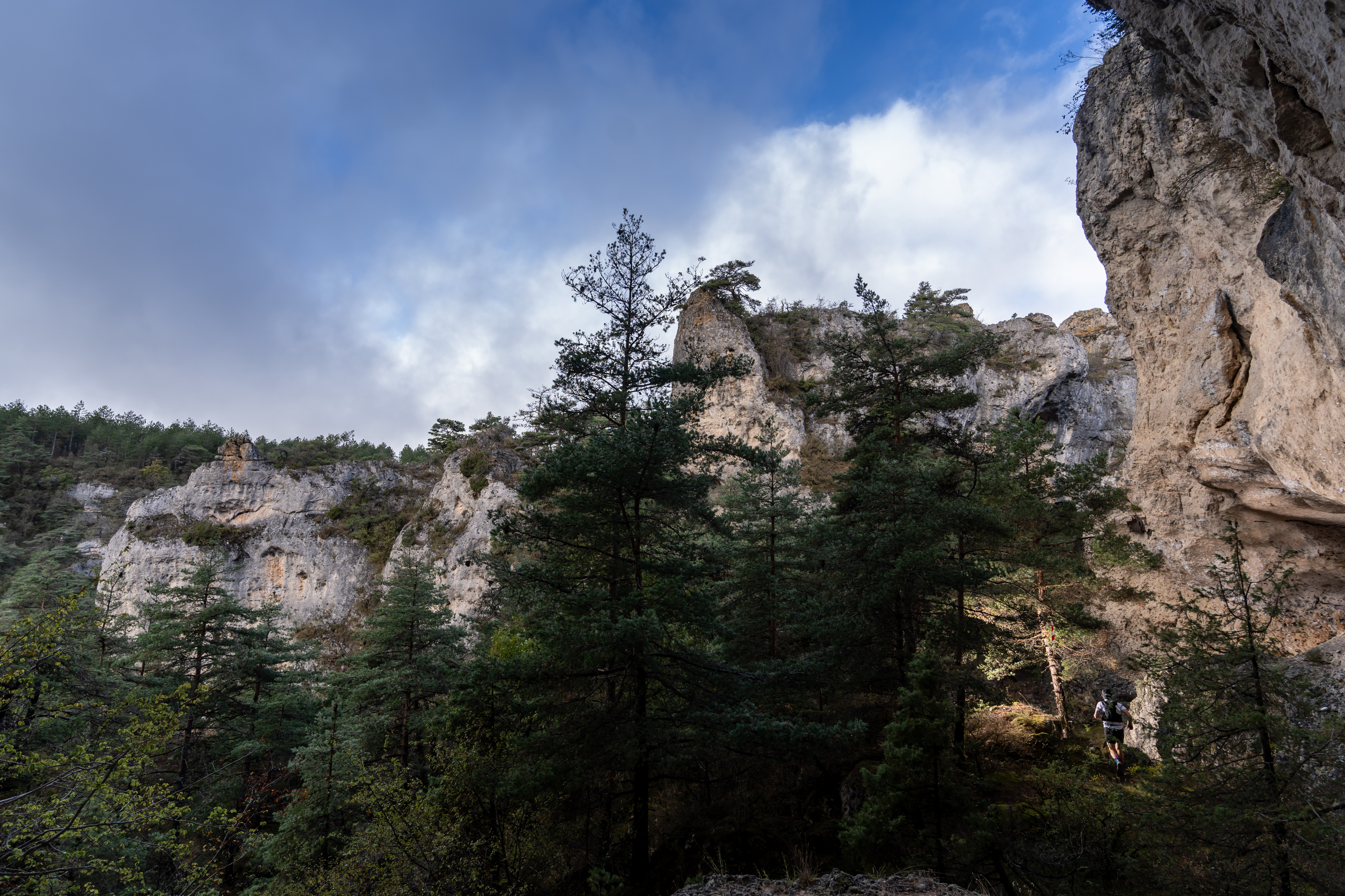 Festival des Templiers 2023