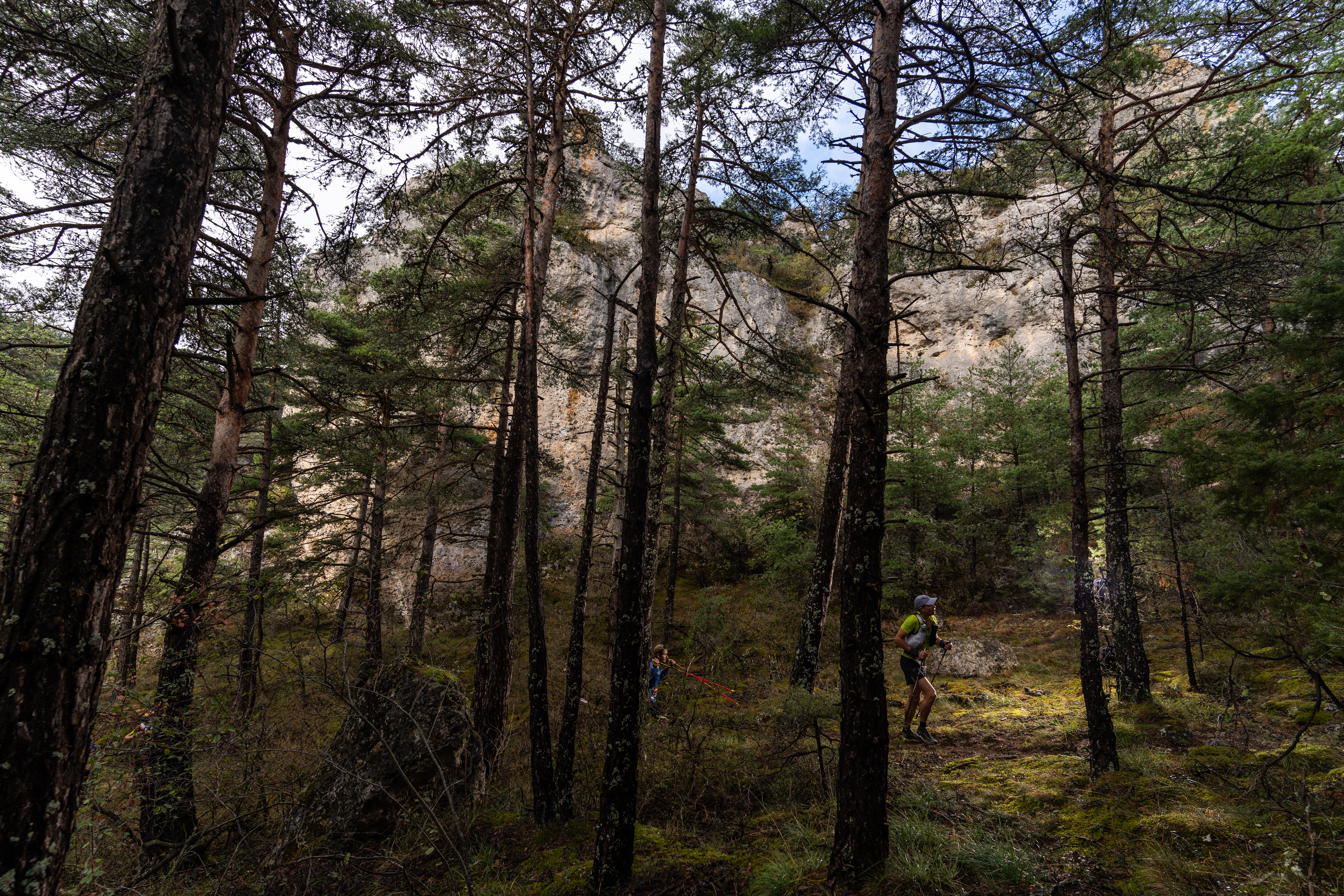 Festival des Templiers 2023