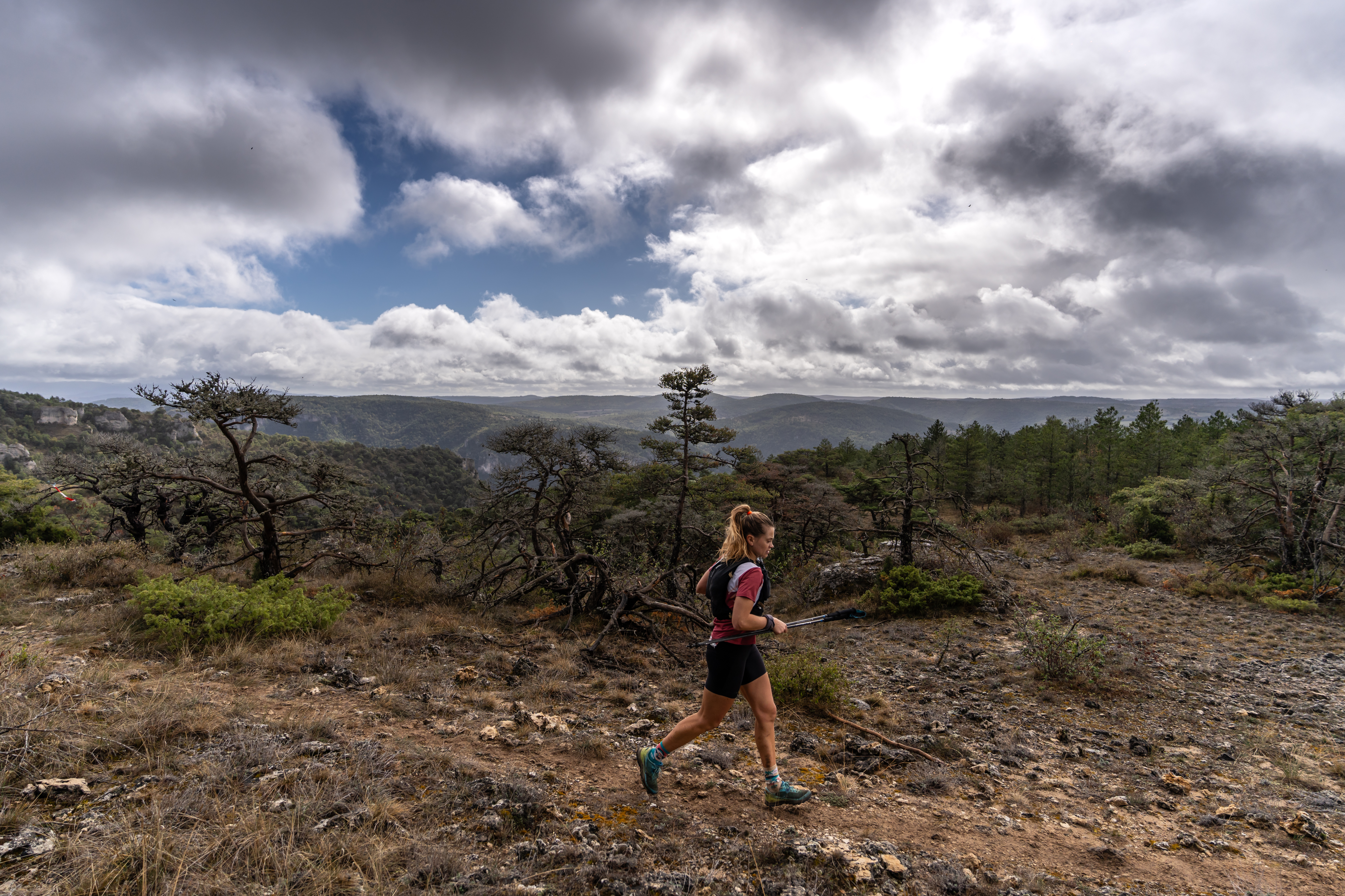 Festival des Templiers 2023