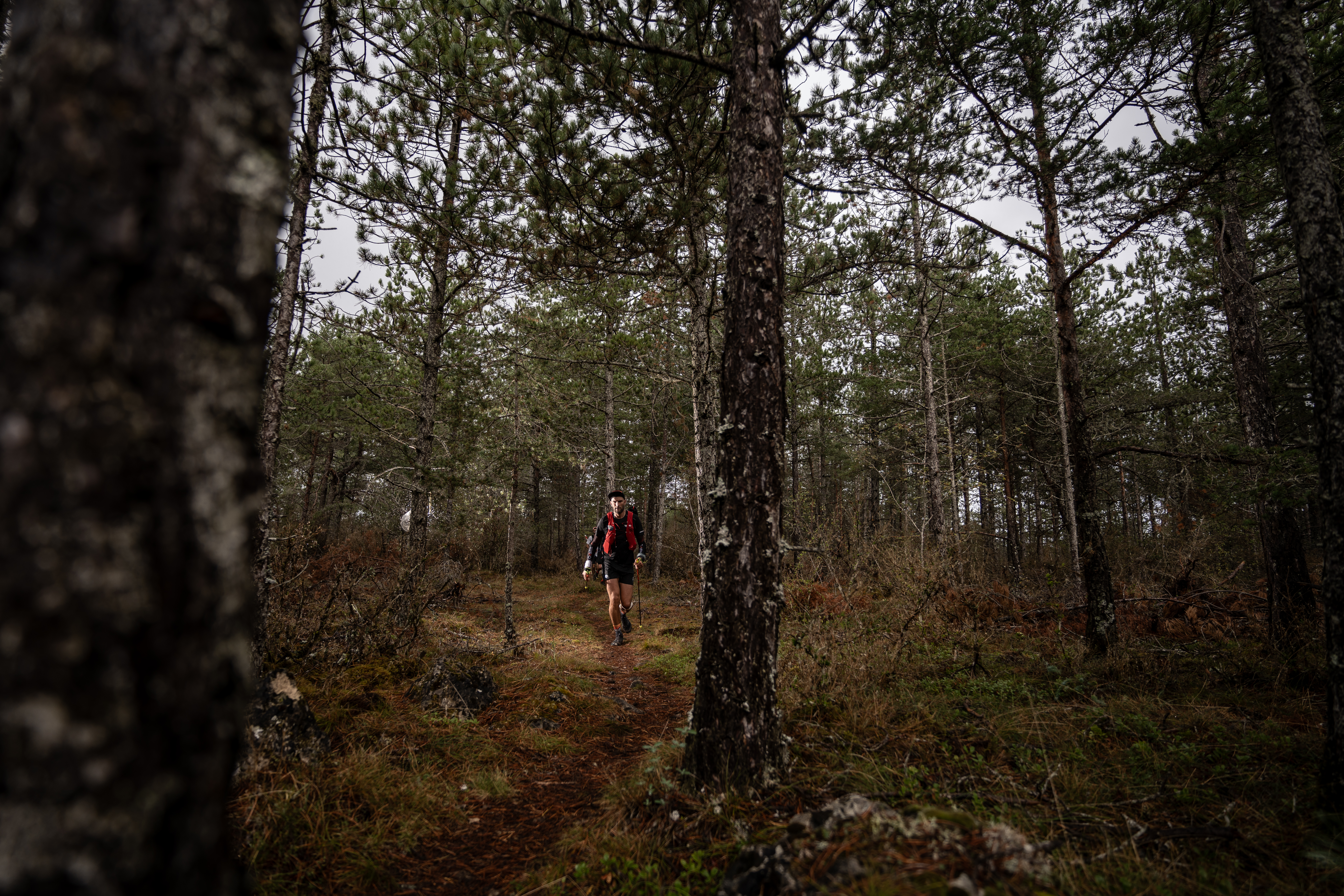 Festival des Templiers 2023
